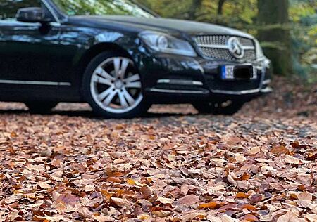 Mercedes-Benz C 180 T (BlueEFFICIENCY) 7G-TRONIC Avantgarde