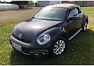 VW Beetle Volkswagen The Cabriolet 1.4 TSI (BlueMotion Tech) R-L