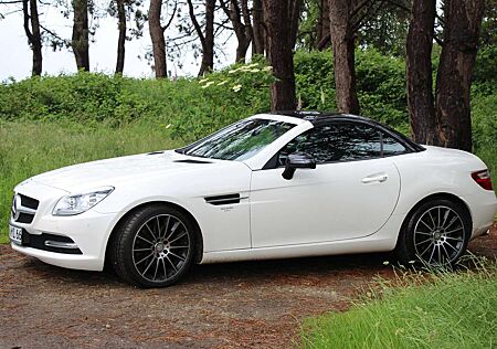 Mercedes-Benz SLK 250 CDI (BlueEFFICIENCY) 7G-TRONIC