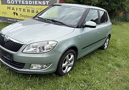 Skoda Fabia Family