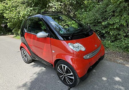 Smart ForTwo |Tüv 12/26|Automat| Panorama |Klima