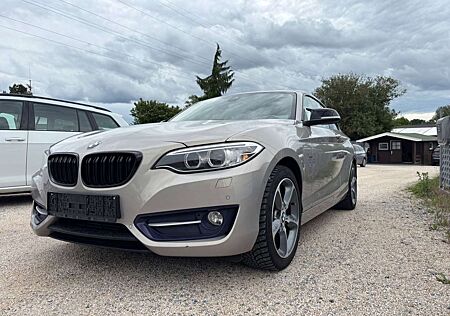 BMW 220 Coupe i Sport,Leder,Kamera,SD,Autom.Euro 6