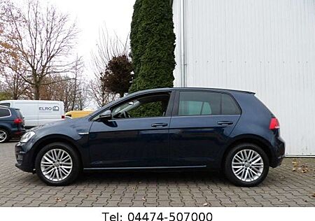 VW Golf Volkswagen VII 1.6 TDI "Cup" BlueMotion Sizhg PDC