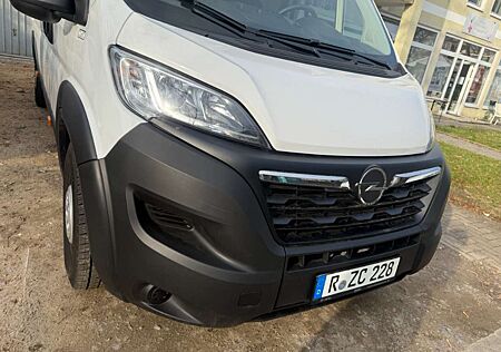 Opel Movano CargoD 121kW(165PS)t verstärkt