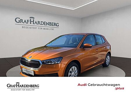 Skoda Fabia Active 1.0 TSI LED & Sitzheizung