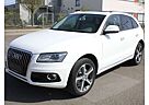 Audi Q5 2.0 TDI (140 kW) quattro Auto Voll AHK Panorma