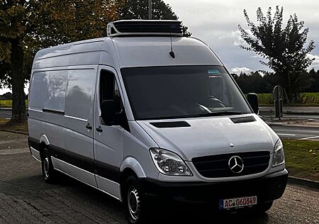 Mercedes-Benz Sprinter 313 /// Maxi /// Kühlwagen -0-/ -35 -