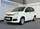 Fiat Panda Easy ALLWETTER KLIMAANLAGE ELKTR.FENSTER RADIO CD