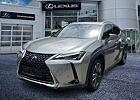 Lexus UX 250h Style Edition