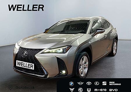 Lexus UX 250h F SPORT Design *Bi-LED*ACC*RCam*SHZ*PDC*