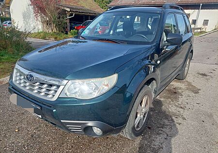Subaru Forester gebraucht kaufen Subaru Forester 2.0X Active