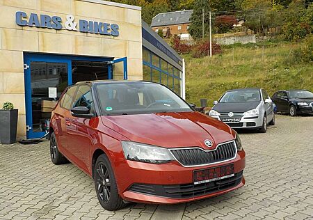 Skoda Fabia Ambition COLOUR CONCEPT! GEPFLEGT!