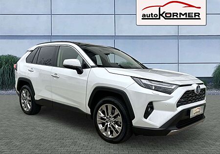 Toyota RAV 4 Hybrid 4x4 Lounge Pano.dach,Leder,360°,JBL,ACC,DAB