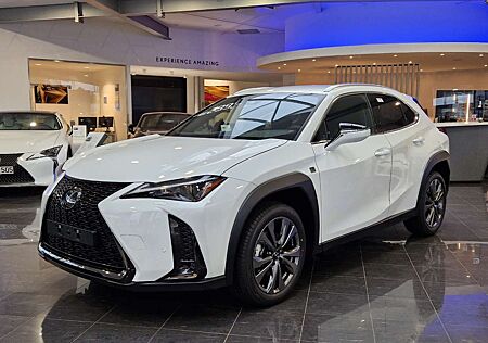 Lexus UX 300h F Sport Design ACC FLA SpurH LM