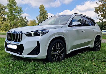 BMW X1 Diesel xDrive20d Aut. M Sport, Pano,AHK,HuD,360