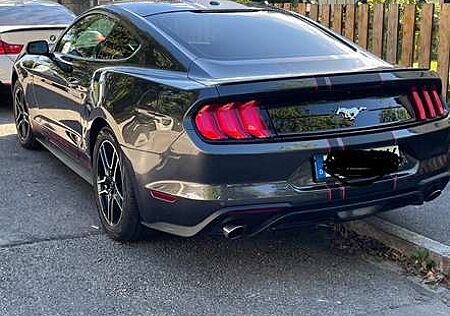 Ford Mustang Fastback 2.3 ecoboost 317cv auto