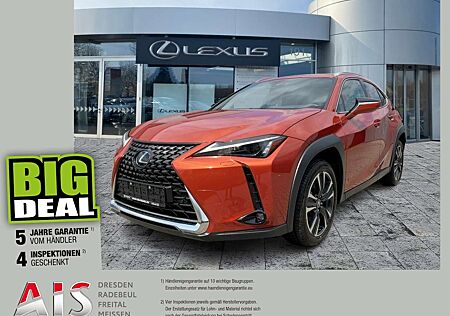 Lexus UX 250h UX 250 h Style Edition CloudNavi*KAM*DAB*SHZ