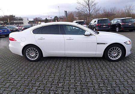 Jaguar XF Pure+Automatik+Standhzg+Klima+SHZ+Navi+Cam+1. Hand