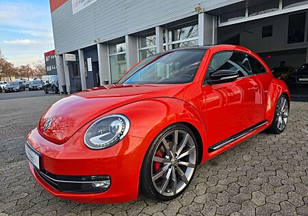 VW Beetle Volkswagen Lim. Exclusive Sport *20 Zoll*Pano*Leder
