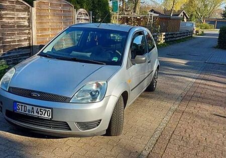 Ford Fiesta Viva X