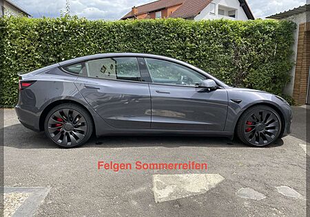 Tesla Model 3 Performance, EAP, 8fach, Langstreckenbatt.