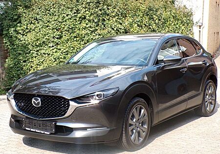 Mazda CX-3 0 Selection Design/HUD/ACC/LED/360°/BOSE/LHZ