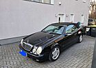 Mercedes-Benz CLK 200 CLK-Klasse Cabrio Kompressor Elegance