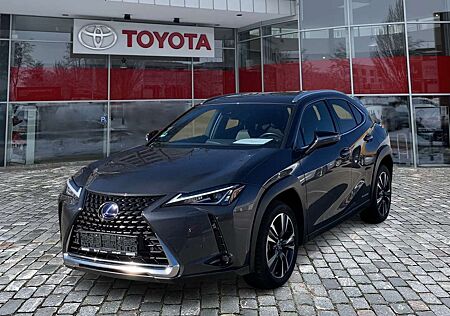 Lexus UX 250h UX 250 h 250h Style Edition ACC FLA ParkAss. LM
