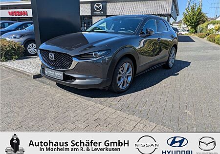 Mazda CX-30 Selection HUD Navi Bose 360 Kamera LED Blendfreies