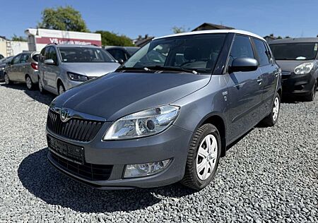 Skoda Fabia Family