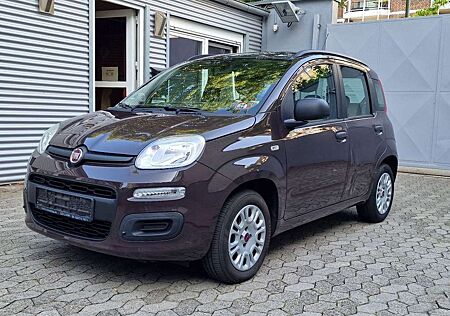 Fiat Panda 1.2 Benzin, 5 Sitze , Klima, ServoCity