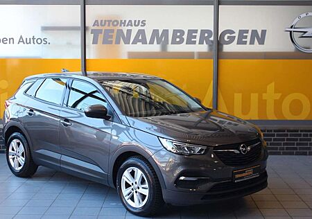 Opel Grandland X Grandland Edition 1.2 Automatik Navi PDC v+h LED