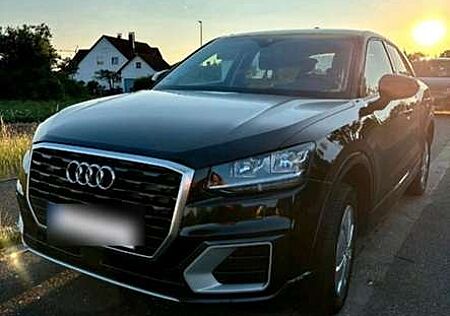 Audi Q2 1.6 TDI design 6-Gang Navi PDC Sitzh.