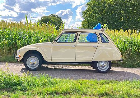 Citroën Citroen Dyane dyane6