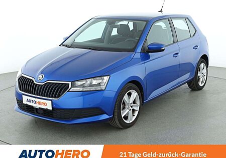 Skoda Fabia 1.0 TSI Ambition Aut.*PDC*SHZ*TEMPO*