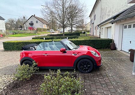 Mini One Cabrio Blackyard