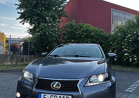 Lexus IS 250 GS 250 Luxury Line