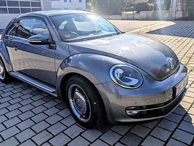 Volkswagen Beetle Cup