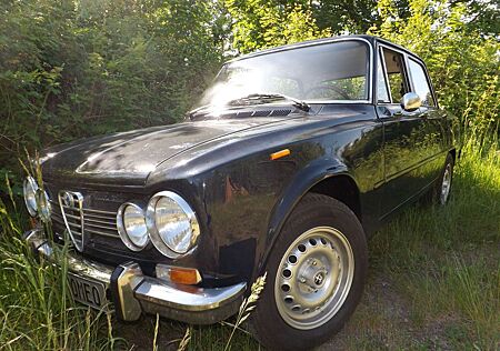 Alfa Romeo Giulia super-ein Leckerbissen für "Alfaristi" !!