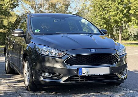 Ford Focus 1.5 TDCi Business | CarPlay | Allwetter | PDC |