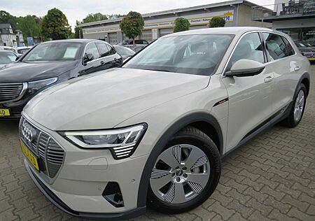 Audi e-tron 55 quattro *AHK *360°KAMERA *1.HAND *MATRIX LED