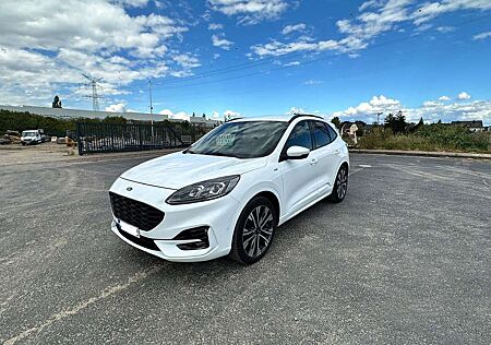 Ford Kuga 2.0 EcoBlue 4x4 Aut. ST-LINE X