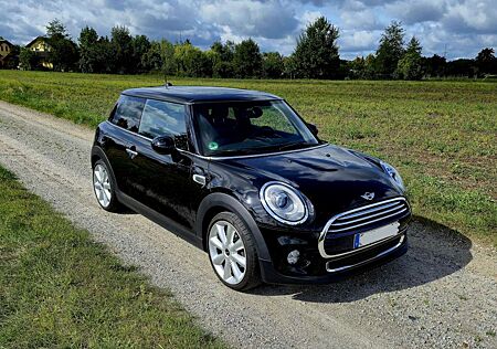 Mini Cooper D Panoramadach Leder Sitzhzg Ambiente