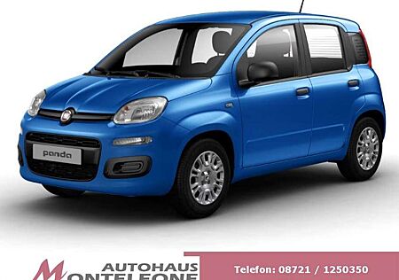 Fiat Panda MY25 Pandina POP Hybrid | PDC | TOP