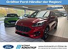 Ford Kuga ST-Line X 2.5 PHEV Aut. Panorama HUD ACC
