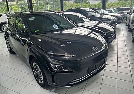 Hyundai Kona Trend Elektro 2WD Navigations-Paket Mica Lackierun