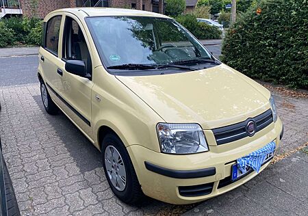 Fiat Panda 1.2, 2. Hand, gepflegt
