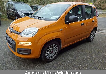 Fiat New Panda 1.2 8V EASY - 1.Hd./32 TKM