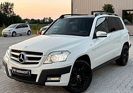Mercedes-Benz GLK 250 CDI BE 4Matic Offroad Bi-Xenon / 19"LM