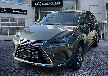 Lexus NX 300 h Executive Line Pano ParkAss. ACC SpurW